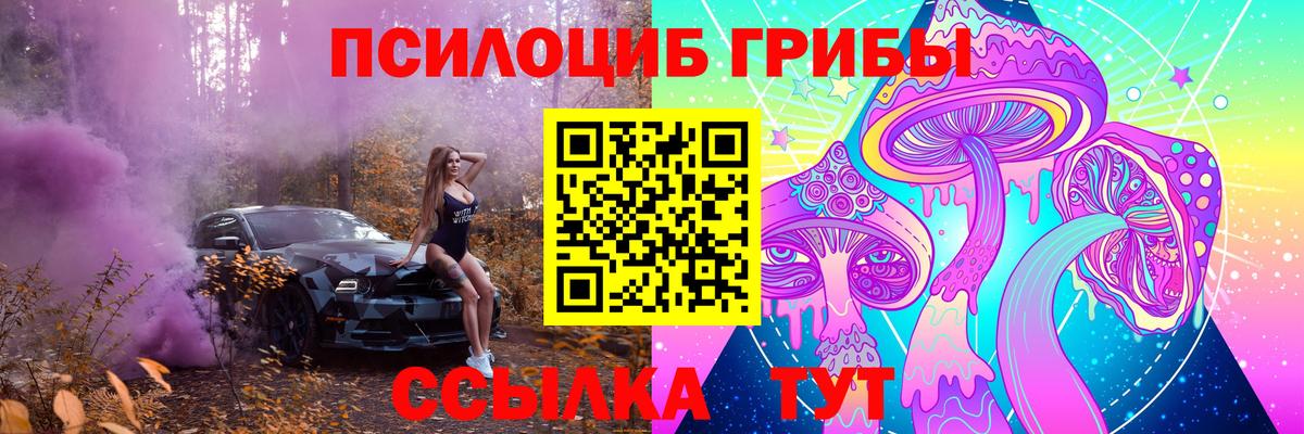Псилоцибиновые грибы MAGIC MUSHROOMS Чебоксары
