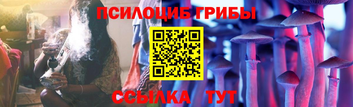 Чебоксары  Галлюциногенные грибы Psilocybe  Вход с VPN  Псилоцибиновые грибы Magic Shrooms 